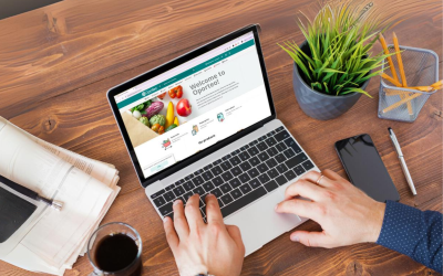 Can wholesalers afford NOT to have a PIM System?  